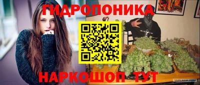 дмт Пенза