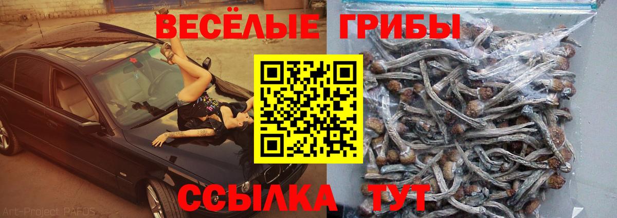 Галлюциногенные грибы мухоморы  Вход с VPN  Похвистнево  Псилоцибиновые грибы MAGIC MUSHROOMS 